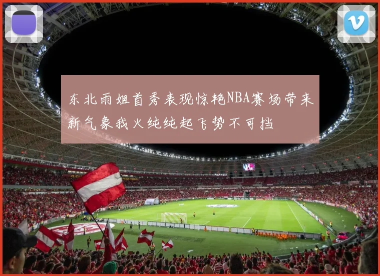 东北雨姐首秀表现惊艳NBA赛场带来新气象我火纯纯起飞势不可挡